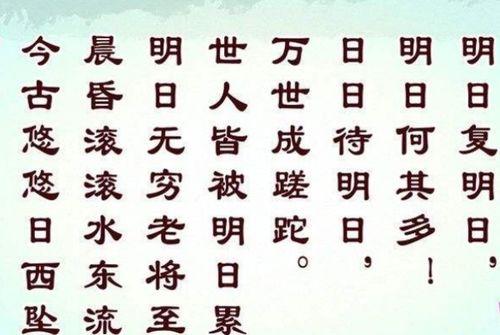 明日歌,展望未来，把握当下