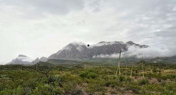 狂野大自然,探寻原始生态的壮丽画卷