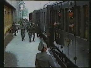 纳粹爱营,黑暗历史的残酷见证