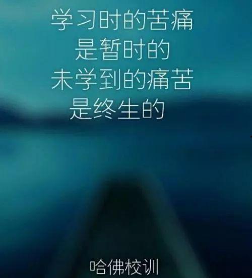 一切都一样,探寻不变中的永恒之美